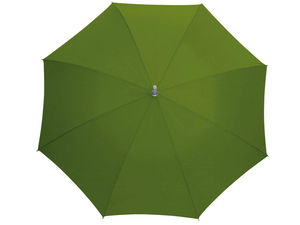 Parapluie poignee devissable Vert mousse 2